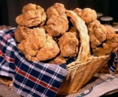 Апартаменты In Relax *