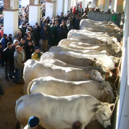 In Relax 公寓 蒙卡沃