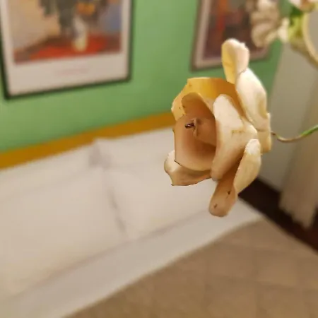 In Relax Монкальво